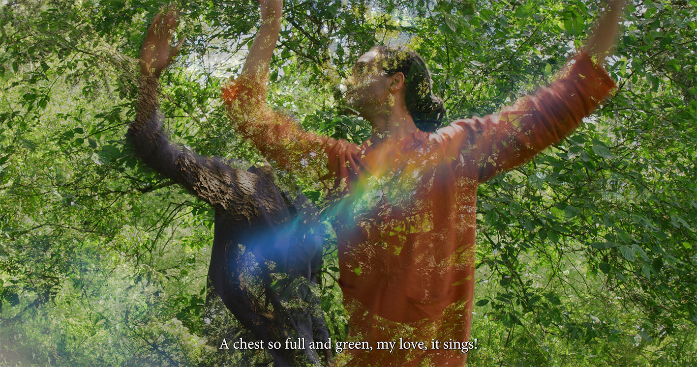 A dancer in an orange outfit stretches their arms upwards amidst lush green foliage. The dancer’s body is partially blended with the textured trunk of a tree, and a rainbow-like light streak appears across the centre. Text at the bottom reads: “A chest so full and green, my love, it sings!”