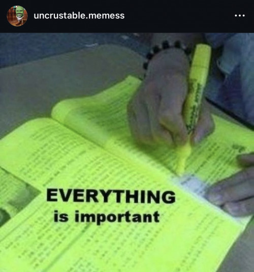 A meme from instagram. There is a photograph in which hands are in the process of highlighting everything on a double page spread of a textbook. Over the image, black text reads ‘everything is important’. The words ‘everything’ is capitalised.